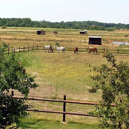 Bed and Breakfast Ranch De Boujac Fronton