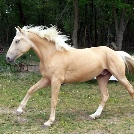 Ranch De Boujac